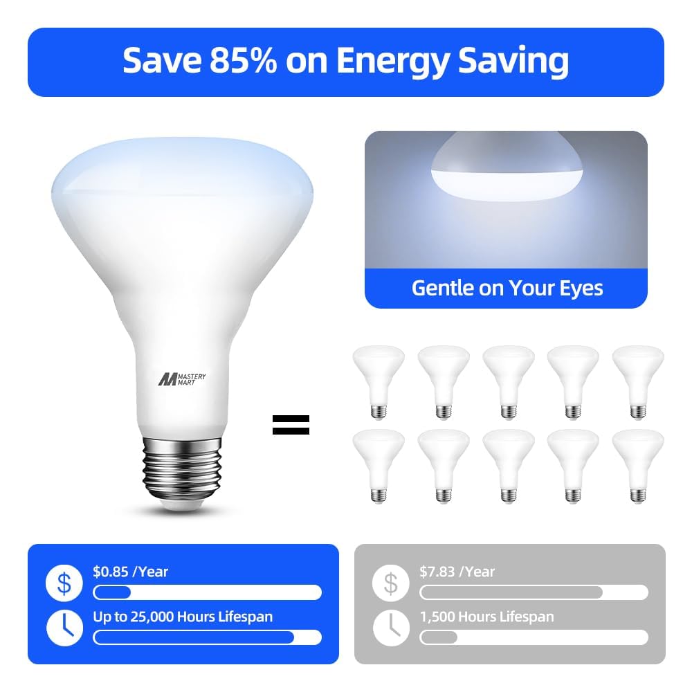 MASTERY MART 700-lumen BR30 for clear overhead illumination