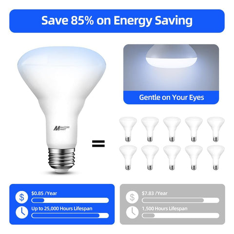 MASTERY MART 700-lumen BR30 for clear overhead illumination