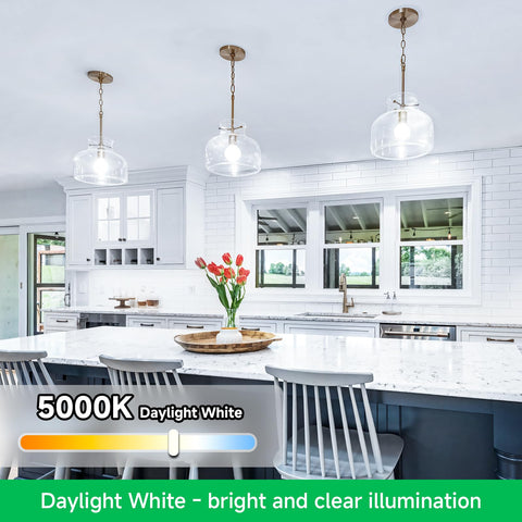 MAXvolador bulbs are UV free and non toxic for safe indoor use.