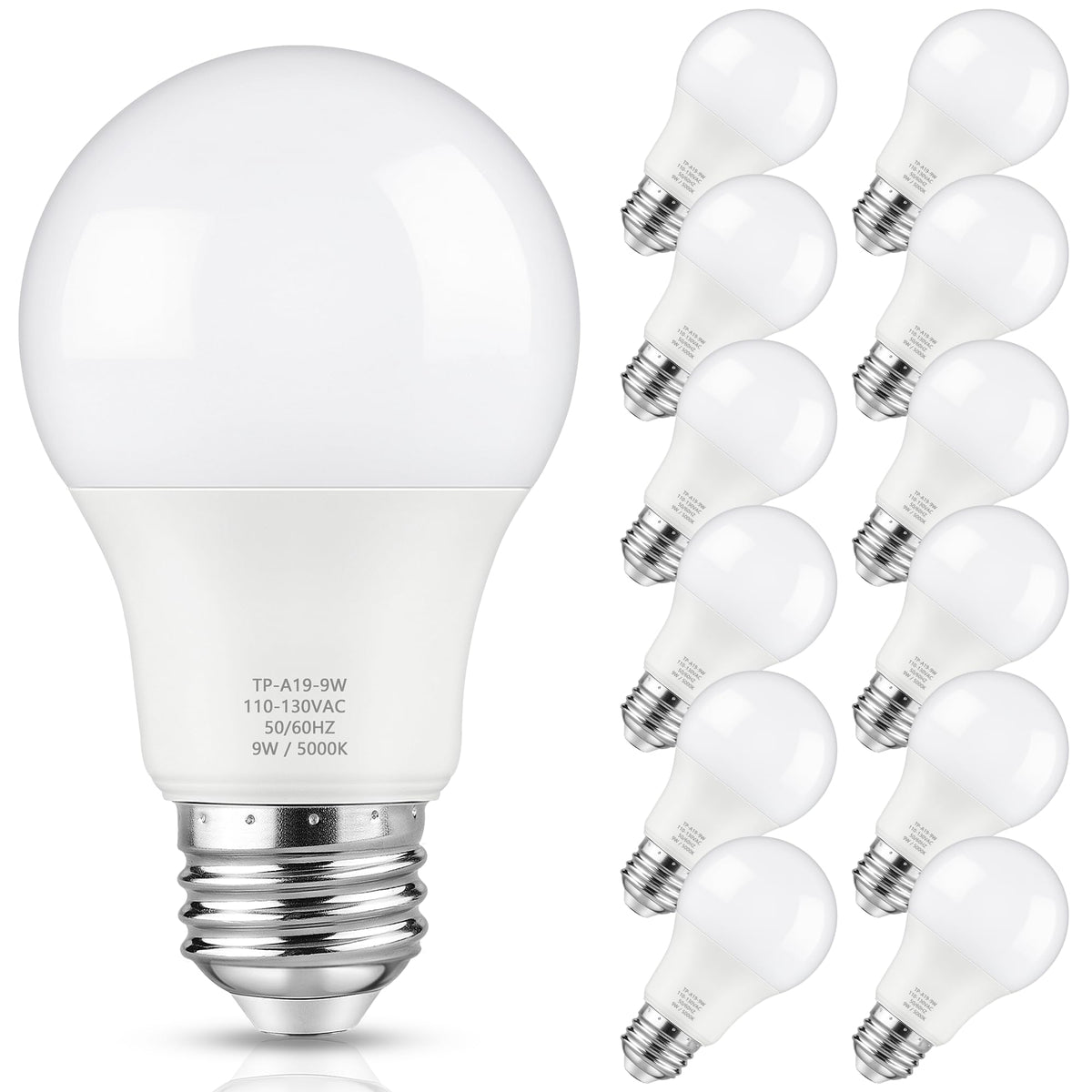 Maylaywood A19 LED bulb demonstrating 60W-equivalent brightness for general lighting.