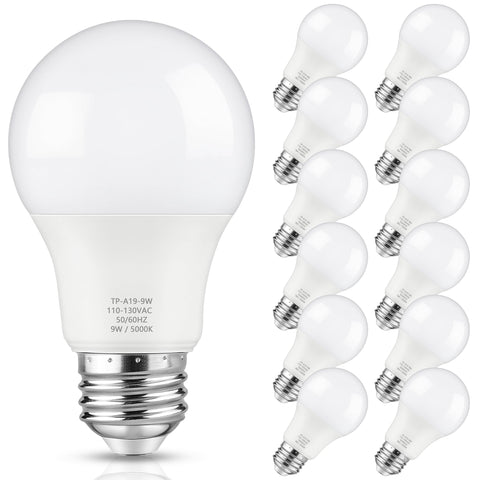 Maylaywood A19 LED bulb demonstrating 60W-equivalent brightness for general lighting.
