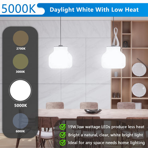 Maylaywood A21 LED Bulb emitting 2600 lumens for vibrant, natural colors