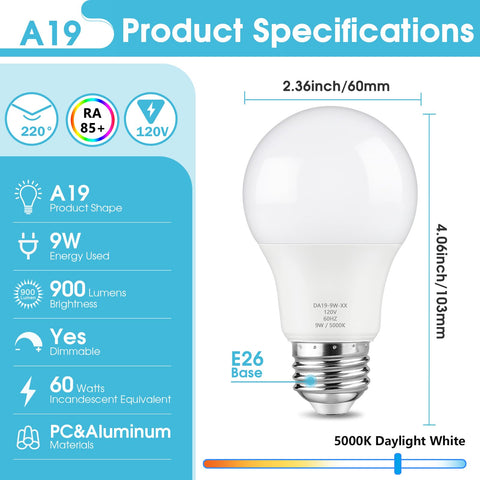 Maylaywood twelve-pack ideal for whole-home lighting across living room, kitchen, and bedrooms