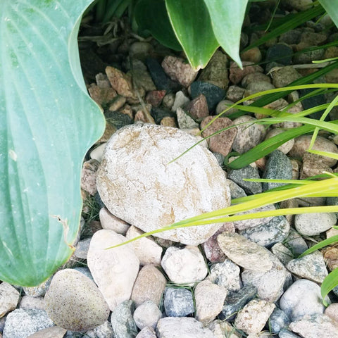 Memeyou yard garden key hider provides discrete key storage for lockouts.