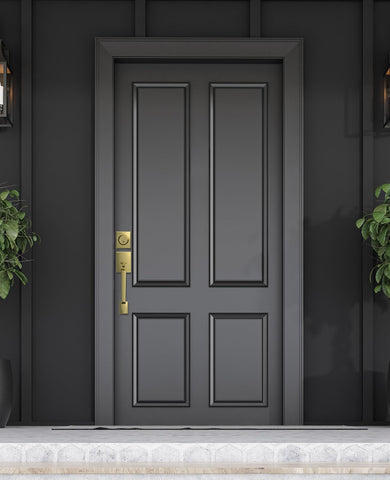 Mensarix exterior entry lock suitable for front, back, or office doors.