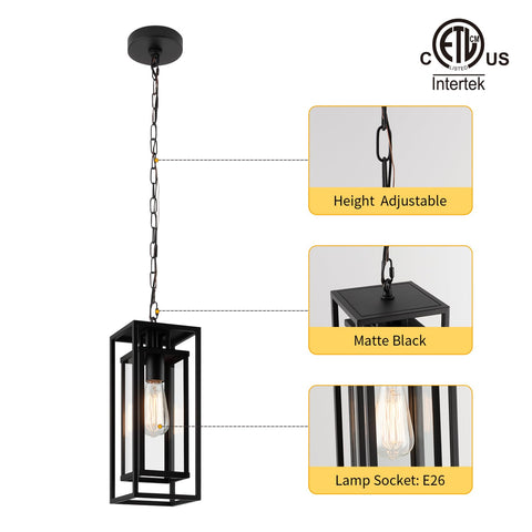 Mirrea outdoor pendant light showing clear glass shade and craftsmanship.