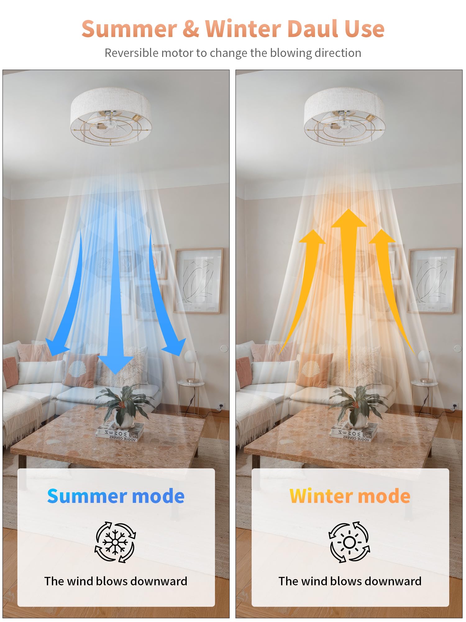 MizWacky remote control allows easy speed and light adjustments from anywhere.