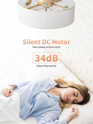 MizWacky fan with reversible motor delivers cool breeze in summer and cozy warmth in winter.
