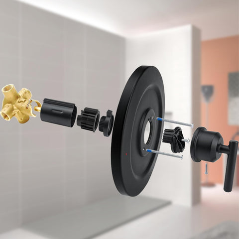 Modern bathroom shower design featuring Modoo matte black finish