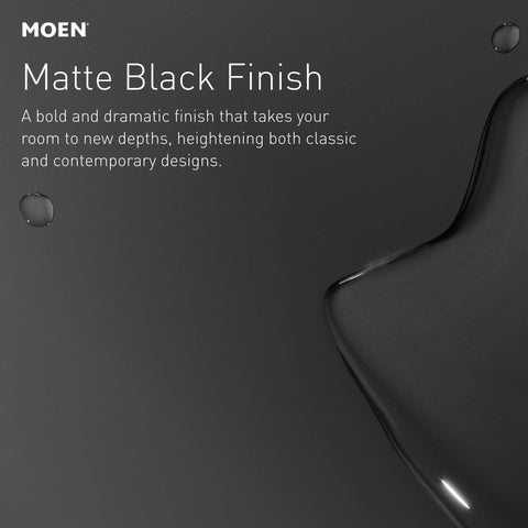 Moen Renzo matte black single-handle control simplifies temperature and flow.