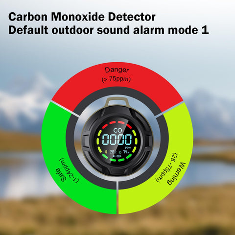 Electrochemical sensor delivers precise CO monitoring with indoor/outdoor adaptability.