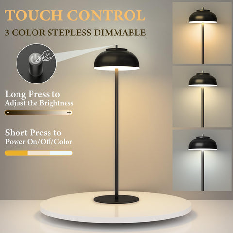 Moragin dimmable LED table lamp shows smooth brightness control for any mood.