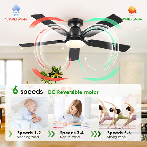 Mpayel remote-control ceiling fan enables easy speed and lighting adjustments
