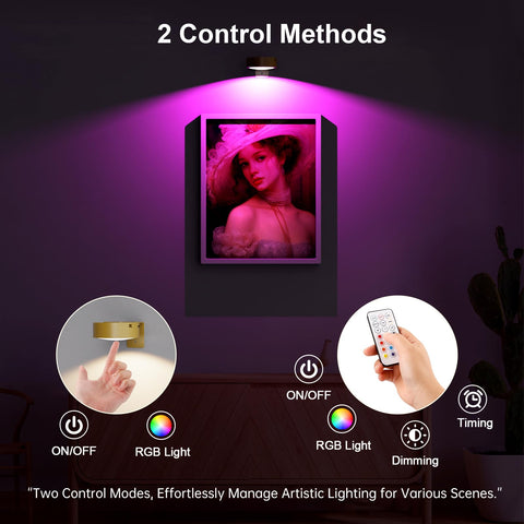 Narotood picture light shown with remote control for easy adjustments.