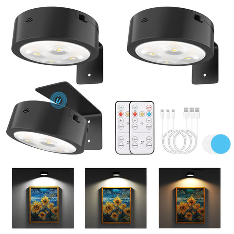 Narotood rechargeable picture light on wall with remote for easy, adjustable illumination