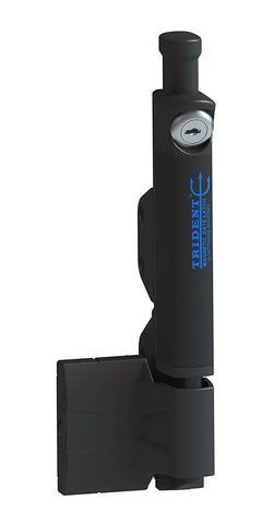 Nationwide Industries Trident 10 BK KA pool latch, front view, showing self-latching action