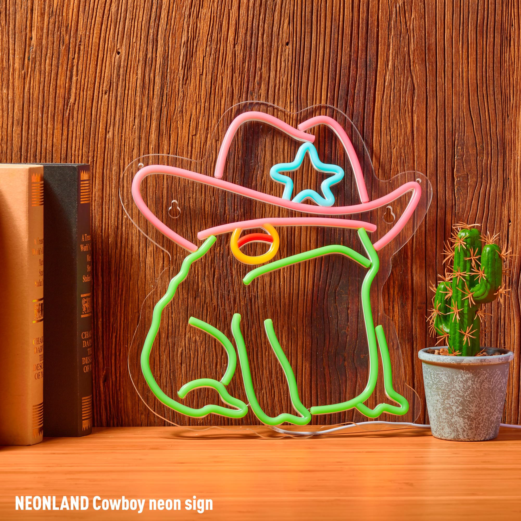 NEONLAND Cowboy Toad neon sign serves as a thoughtful gift for friends and kids.