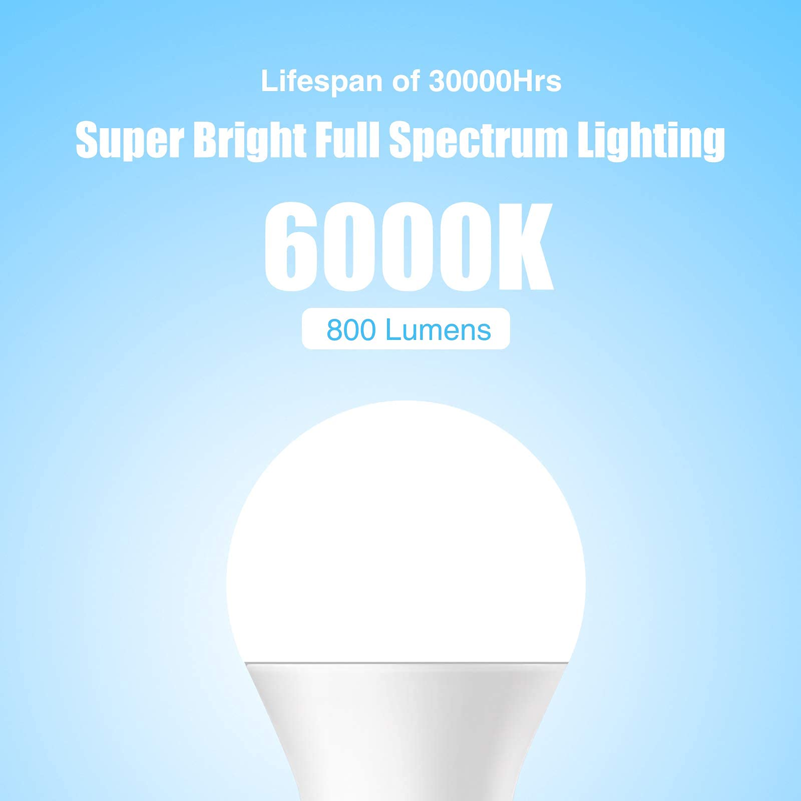 Neporal E26/E27 base bulb for standard fixtures.