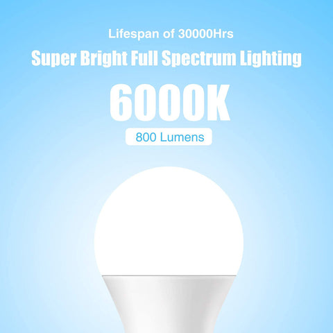 Neporal E26/E27 base bulb for standard fixtures.