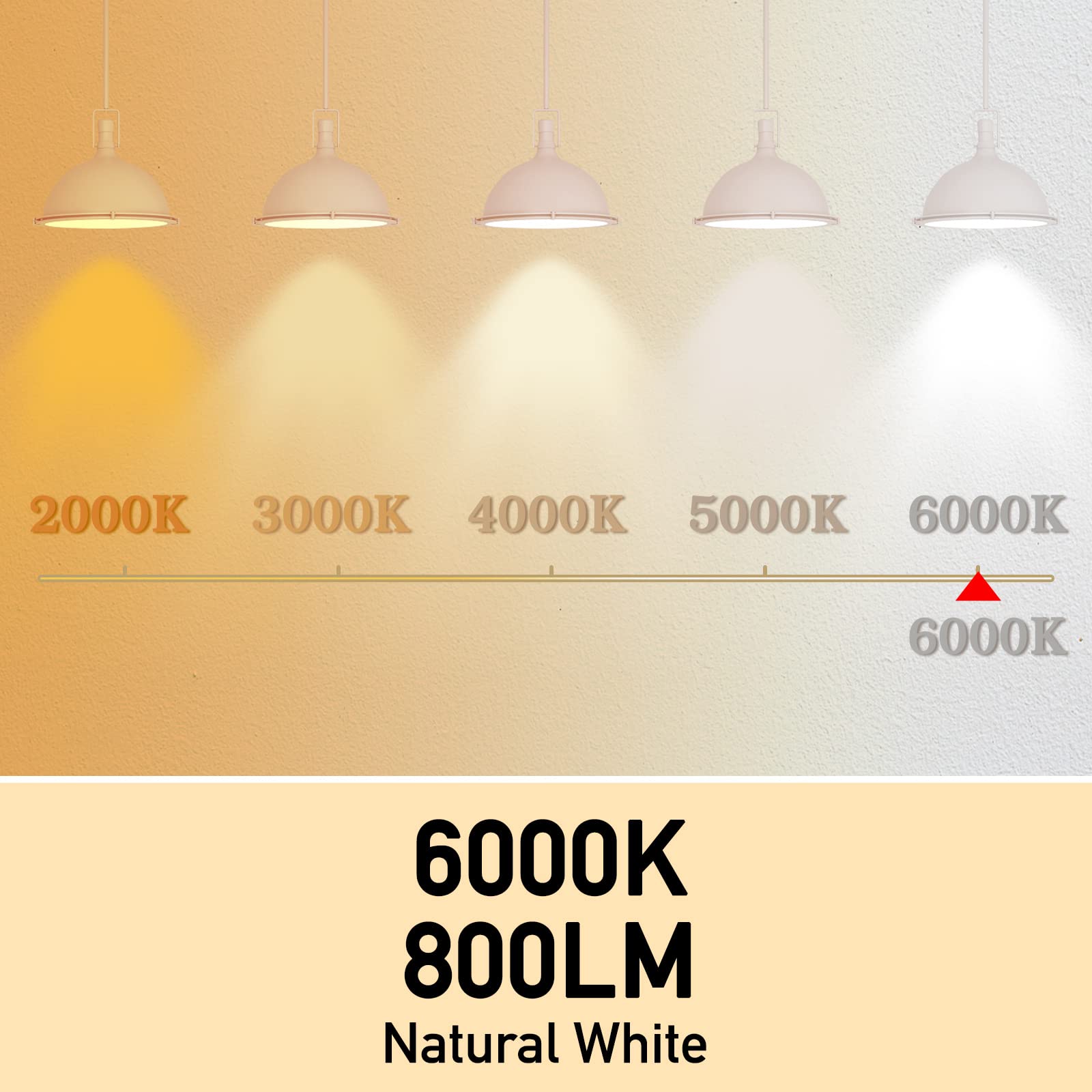 Neporal flicker-free bulb reduces eye strain during long study sessions.