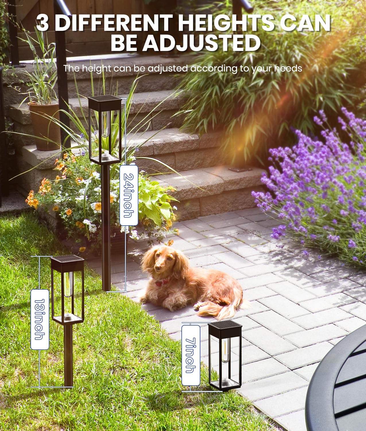 NEWMESSI adjustable-height lights illuminate driveways and borders with warmth