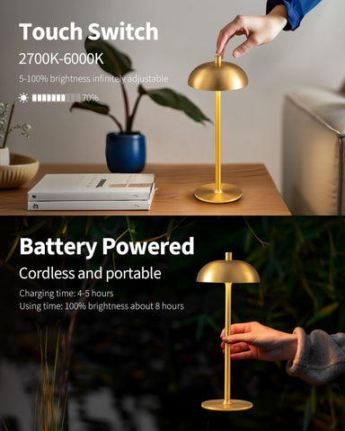 NEWSEE 4000mAh rechargeable battery lamps with long-lasting power.