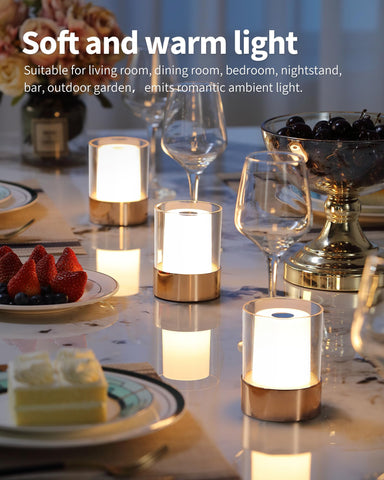 NEWSEE cordless LED table lamps 2-pack showcase portable design for parties and outdoor use.