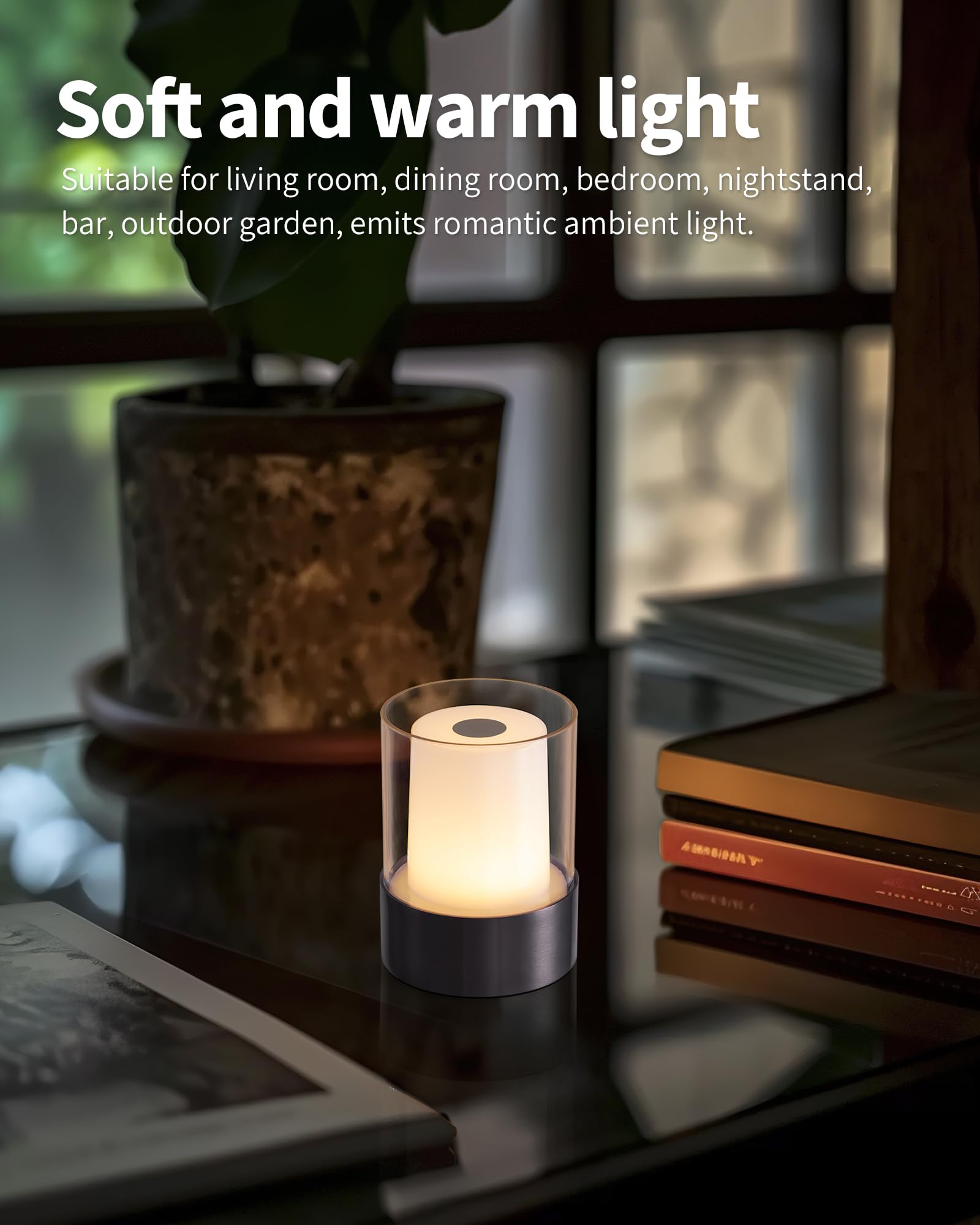 NEWSEE two-pack view showing balanced lighting for spaces