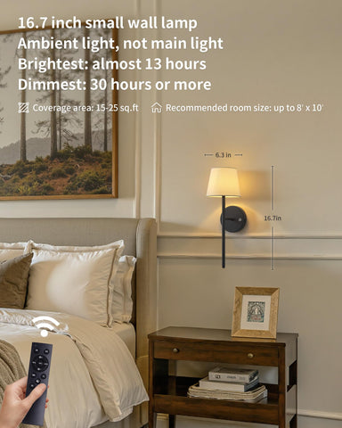 NEWSEE wall sconce with metal post and black base adds durable style.