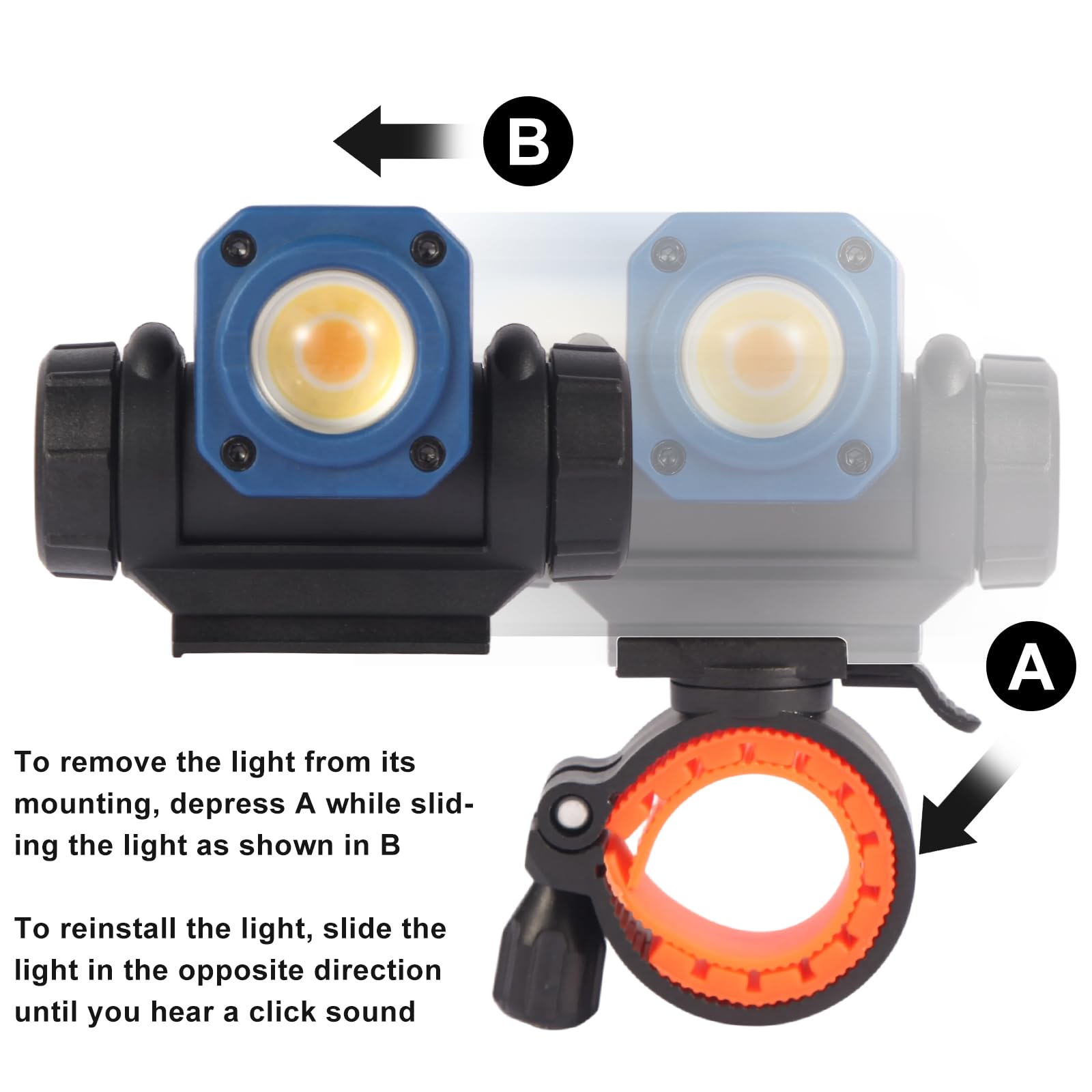 NextLED NT-R3202 wide-beam illumination reveals even coats and fewer shadows