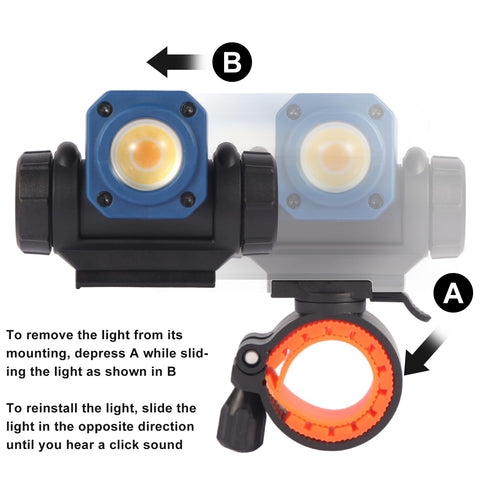 NextLED NT-R3202 wide-beam illumination reveals even coats and fewer shadows