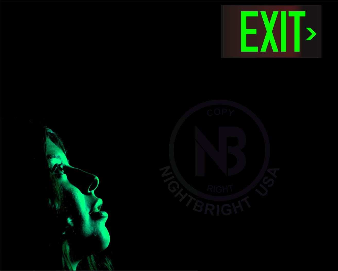 NightBright USA 14.25 by 7.5 inch exit sign for standard mounting