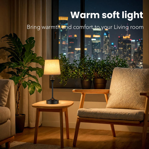 NIORSUN portable lamp suitable for living rooms, dining areas, and outdoors.