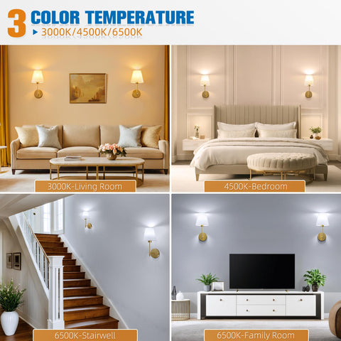 NIORSUN color temperature range supports warm to cool moods.
