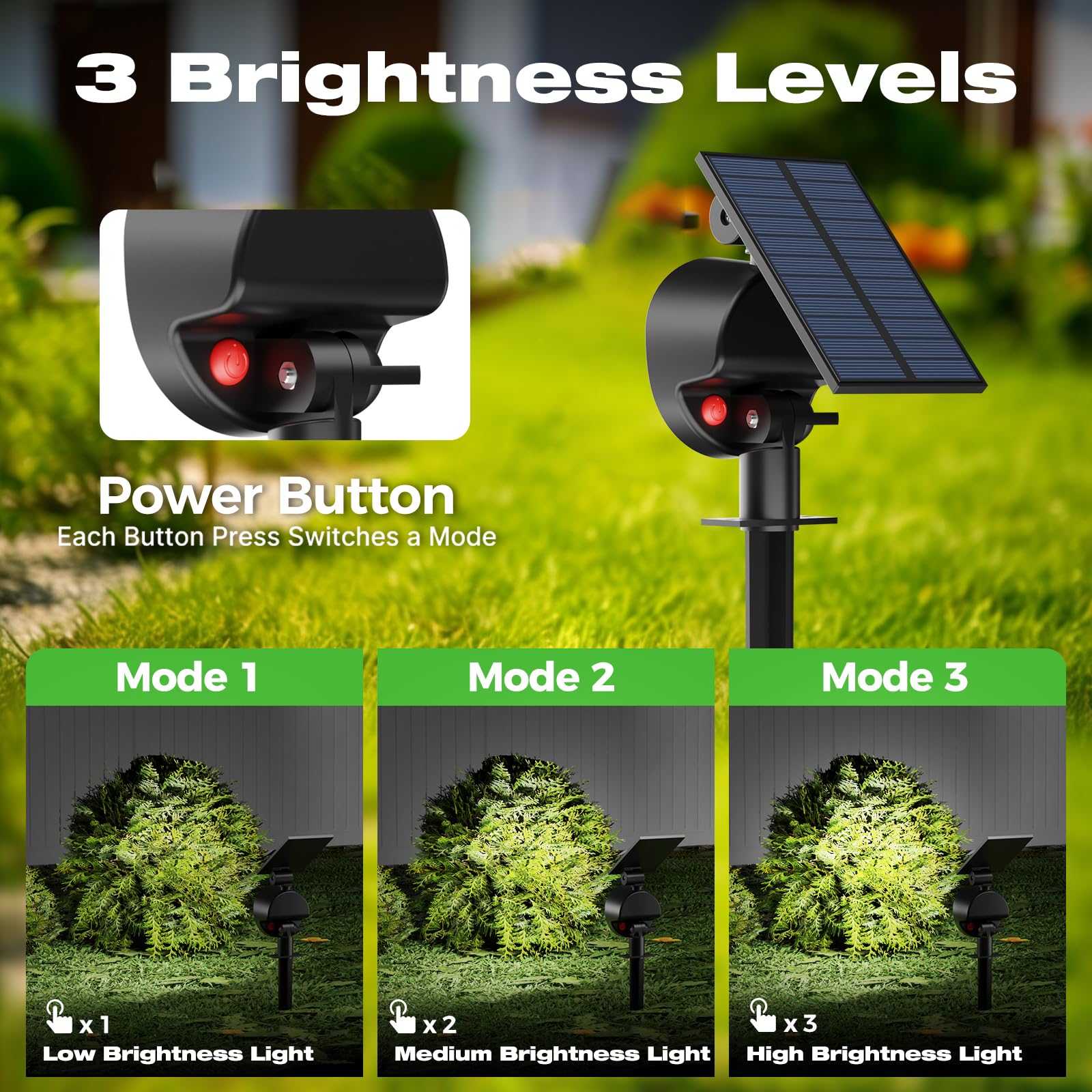 Nipify solar lights offer three modes for pathways and accents