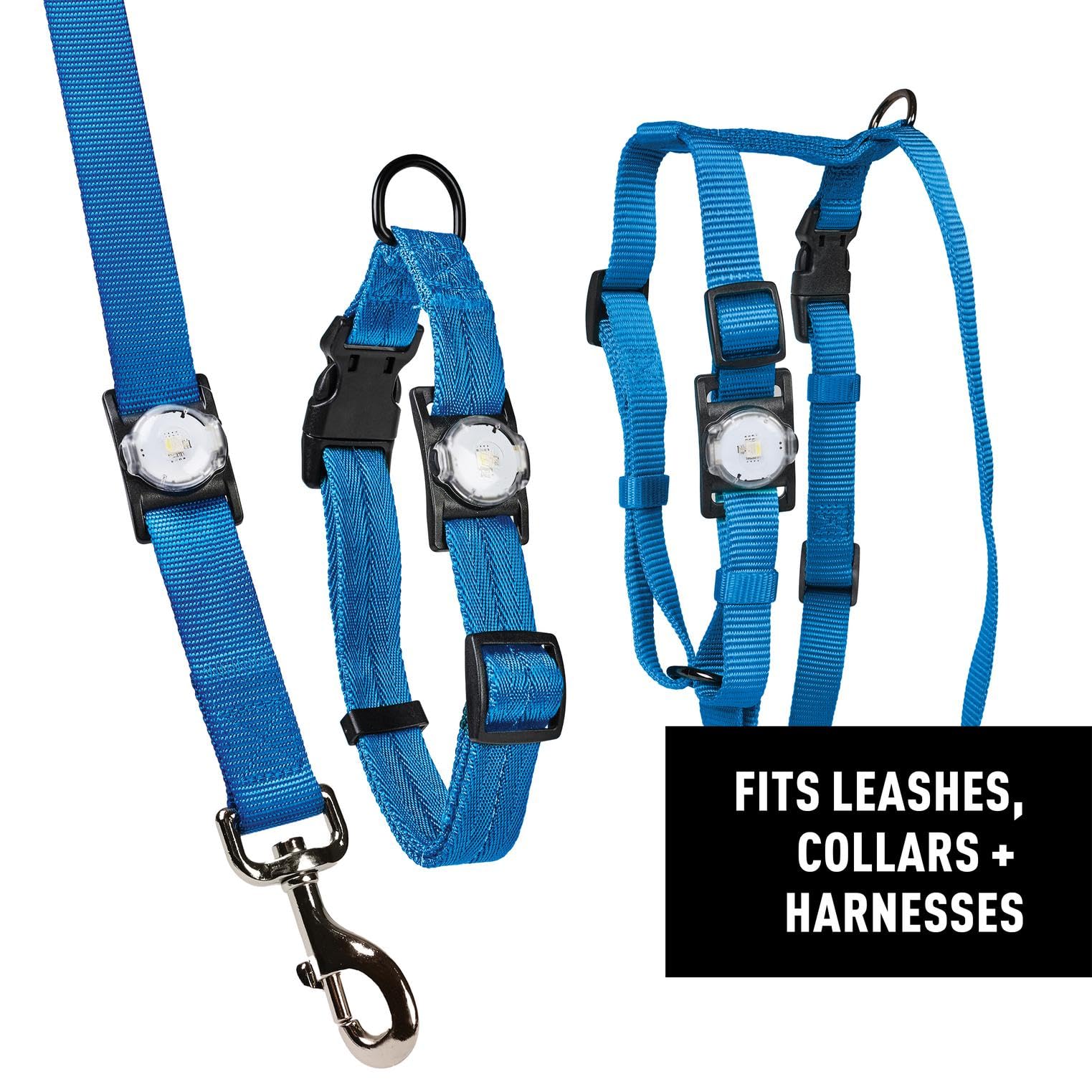 Lightweight NiteDog design suitable for on-the-go dogs and owners