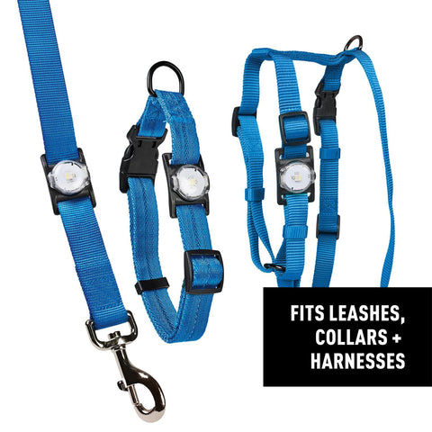 Lightweight NiteDog design suitable for on-the-go dogs and owners