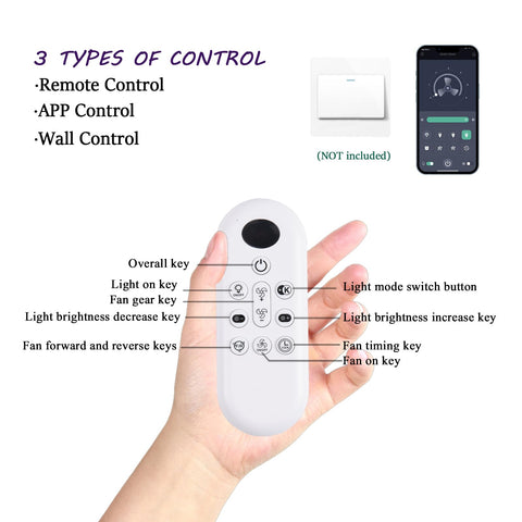 NKPU app and remote control simplify fan and light customization
