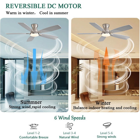 NKPU DC motor runs quietly for peaceful evenings.