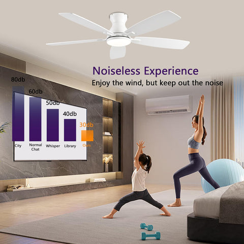 NKPU reversible motor supports cool summers and warm winters