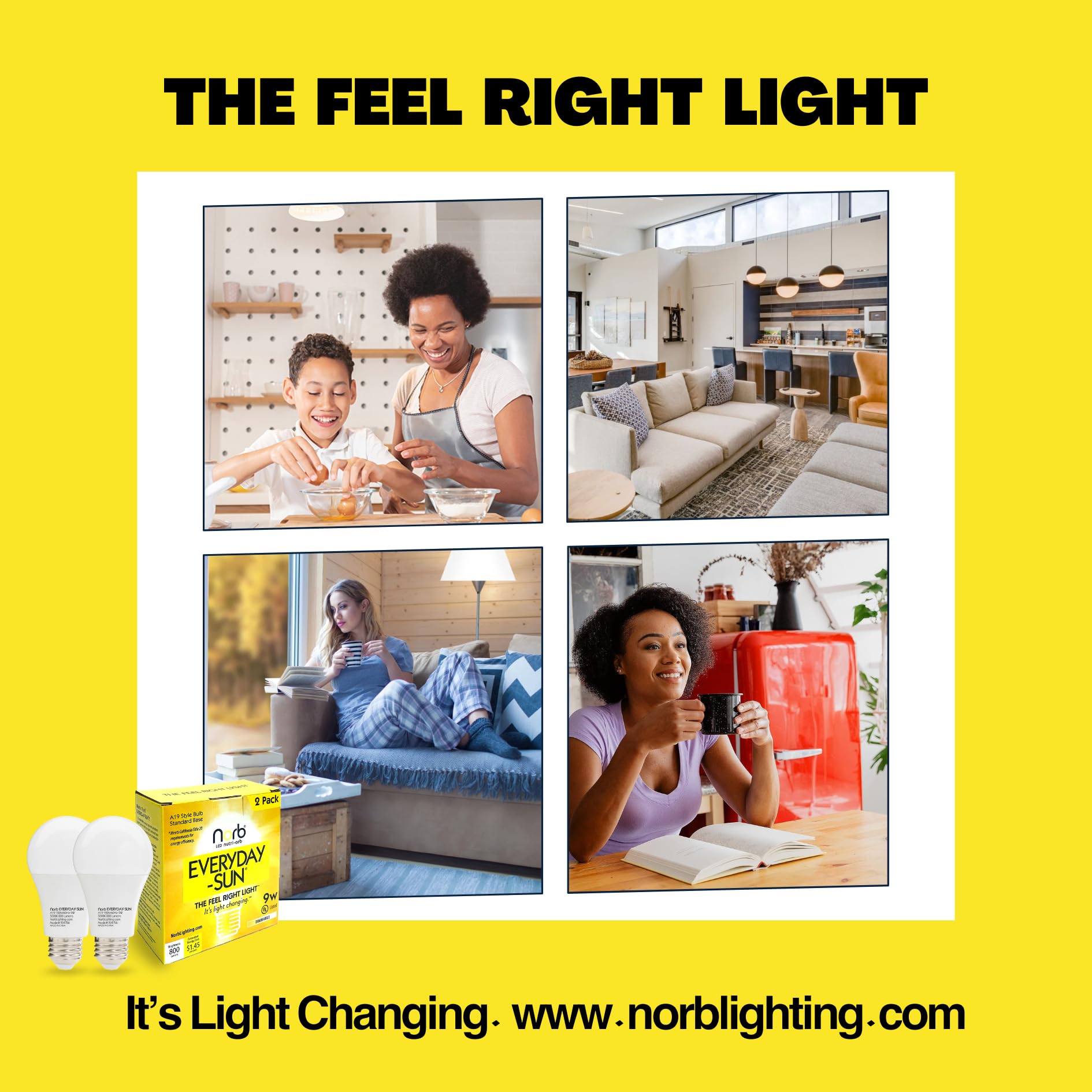 Norb Everyday Sun demo highlighting high CRI for true colors