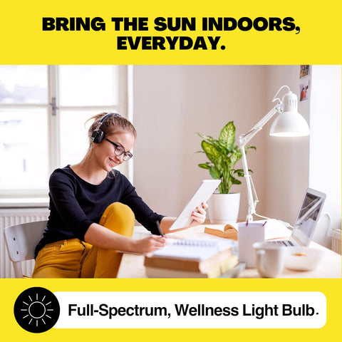 Norb Everyday Sun two-pack on shelf highlighting value and easy setup
