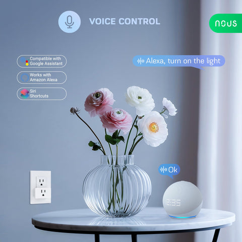 NOUS ZigBee Smart Plug supports voice control with Alexa or Google Assistant.