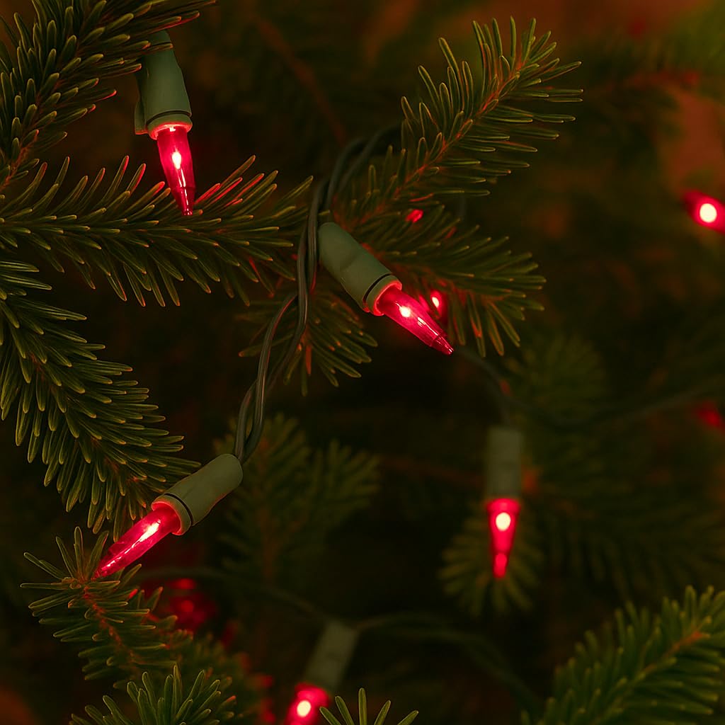 Novelty Lights commercial-grade wiring for reliable long-lasting display.