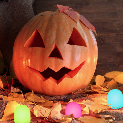 Novelty Place color-changing nightlight provides soft, safe glow.