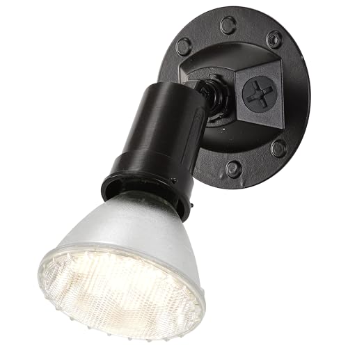 Nuvo SF76/521 bronze wall-mount outdoor light enhances entryways with weatherproof design.