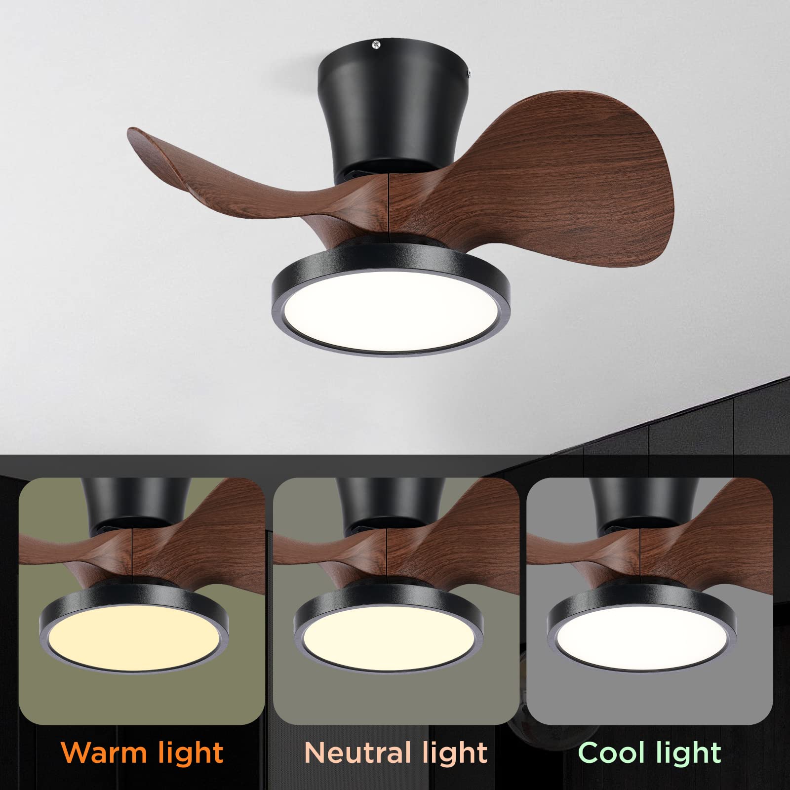 ocioc Three timer options simplify automatic cooling and lighting routines