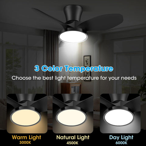 ocioc reversible motor ceiling fan for year-round comfort