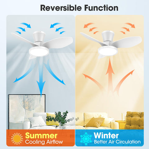 ocioc six-speed settings provide flexible airflow for any room
