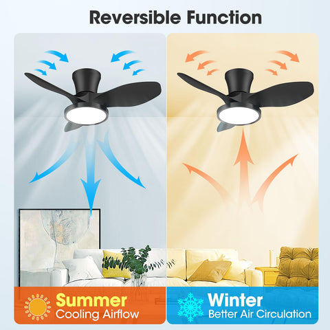 ocioc six-speed settings for customized airflow